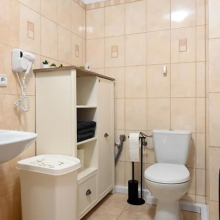 Dwupoziomowy, Duzy Z Garazem I Sauna Apartment *
