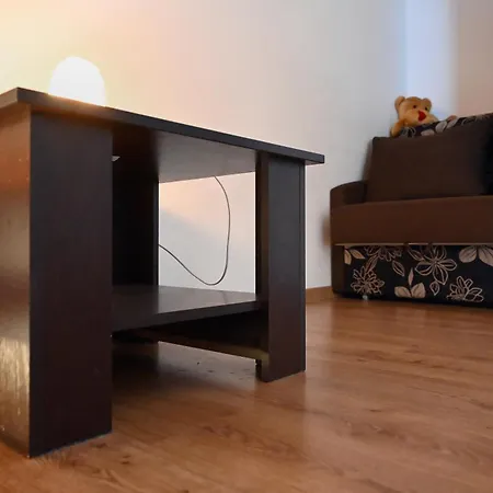 Dwupoziomowy, Duzy Z Garazem I Sauna Apartment