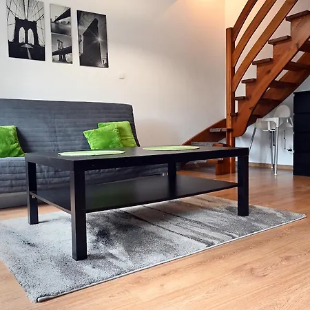 Apartment Dwupoziomowy, Duzy Z Garazem I Sauna