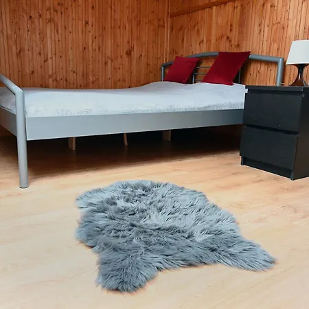 Apartment Dwupoziomowy, Duzy Z Garazem I Sauna Schreiberhau