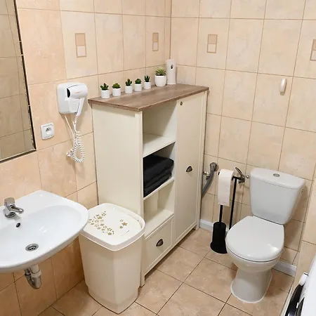 Apartment Dwupoziomowy, Duzy Z Garazem I Sauna *