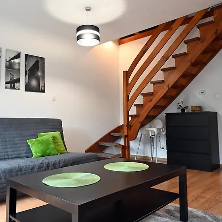 Dwupoziomowy, Duzy Z Garazem I Sauna Apartment