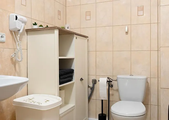 Dwupoziomowy, Duzy Z Garazem I Sauna Apartamento *