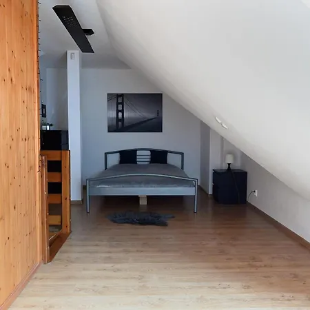 Dwupoziomowy, Duzy Z Garazem I Sauna * Sklářská Poruba