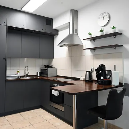 Dwupoziomowy, Duzy Z Garazem I Sauna Apartmán