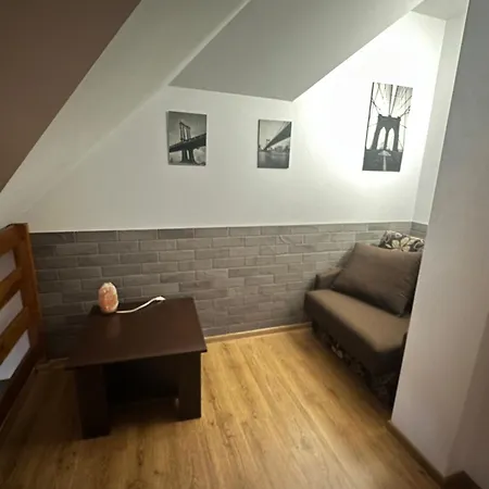 Dwupoziomowy, Duzy Z Garazem I Sauna Appartement *