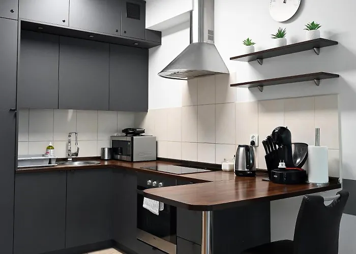 Dwupoziomowy, Duzy Z Garazem I Sauna Apartment