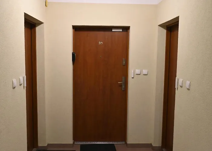 Apartment Dwupoziomowy, Duzy Z Garazem I Sauna *