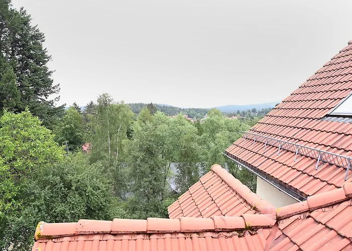 Dwupoziomowy, Duzy Z Garazem I Sauna *